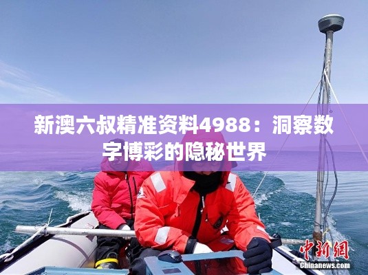 新澳六叔精準(zhǔn)資料4988：洞察數(shù)字博彩的隱秘世界