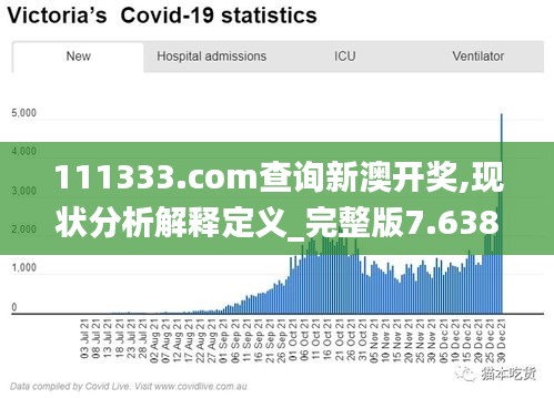111333.соm查詢新澳開獎,現(xiàn)狀分析解釋定義_完整版7.638