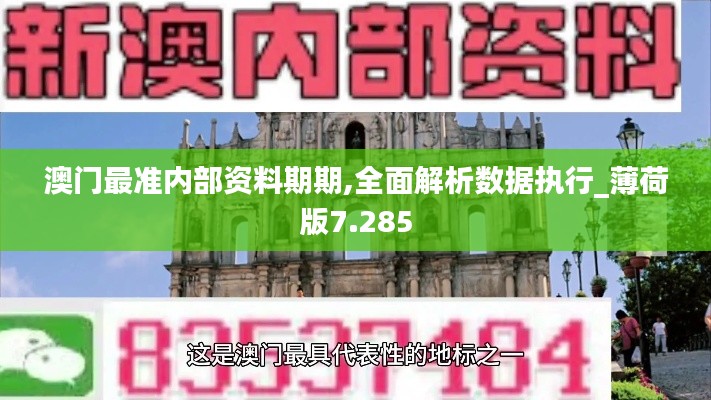 澳門最準(zhǔn)內(nèi)部資料期期,全面解析數(shù)據(jù)執(zhí)行_薄荷版7.285