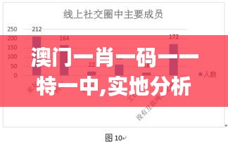 澳門一肖一碼一一特一中,實(shí)地分析數(shù)據(jù)應(yīng)用_OP3.463