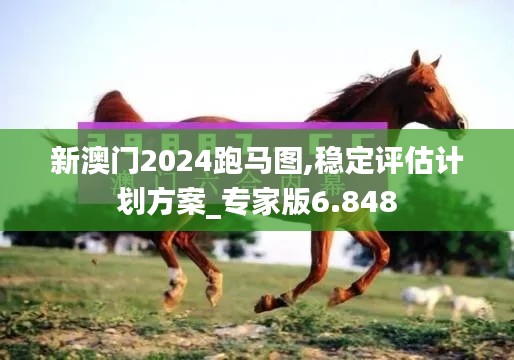 新澳門2024跑馬圖,穩(wěn)定評(píng)估計(jì)劃方案_專家版6.848