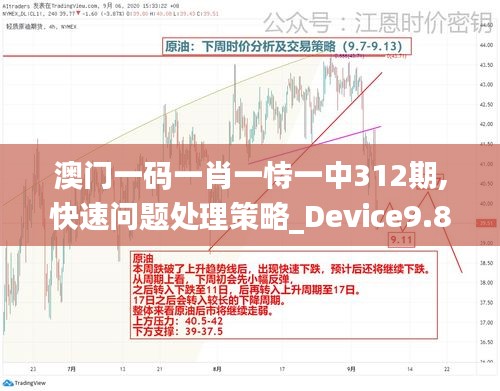 澳門一碼一肖一恃一中312期,快速問題處理策略_Device9.828