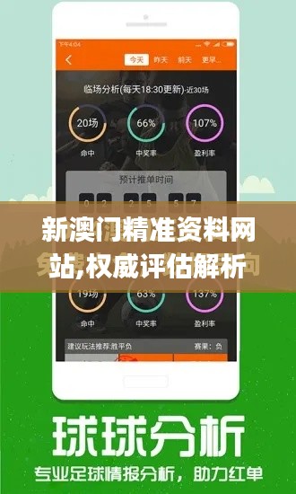 新澳門精準(zhǔn)資料網(wǎng)站,權(quán)威評(píng)估解析_XR16.167