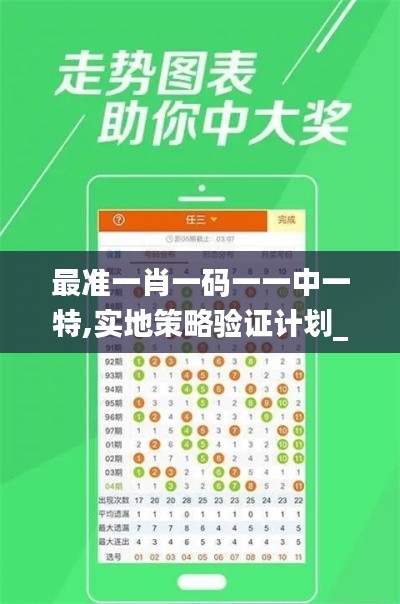 最準(zhǔn)一肖一碼一一中一特,實地策略驗證計劃_3DM1.415