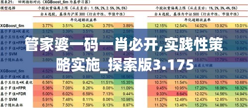 管家婆一碼一肖必開,實(shí)踐性策略實(shí)施_探索版3.175