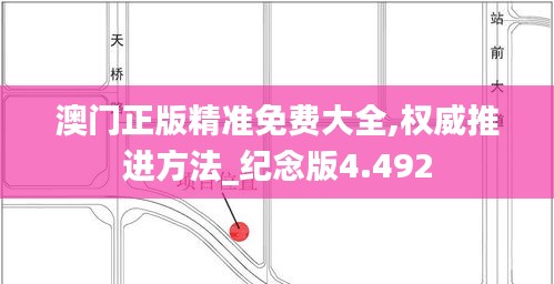 澳門正版精準(zhǔn)免費(fèi)大全,權(quán)威推進(jìn)方法_紀(jì)念版4.492