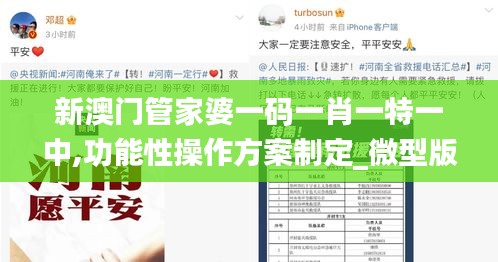 新澳門管家婆一碼一肖一特一中,功能性操作方案制定_微型版3.811