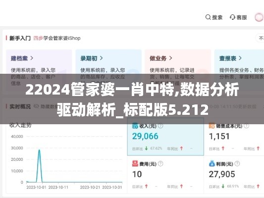 22024管家婆一肖中特,數據分析驅動解析_標配版5.212