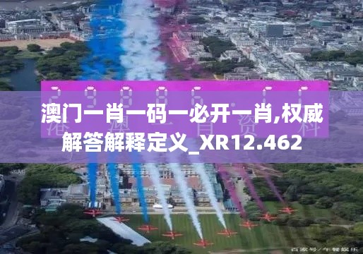 澳門一肖一碼一必開一肖,權(quán)威解答解釋定義_XR12.462