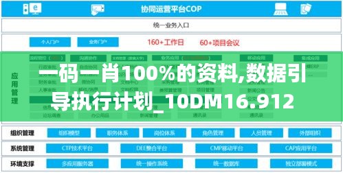 一碼一肖100%的資料,數(shù)據(jù)引導(dǎo)執(zhí)行計劃_10DM16.912
