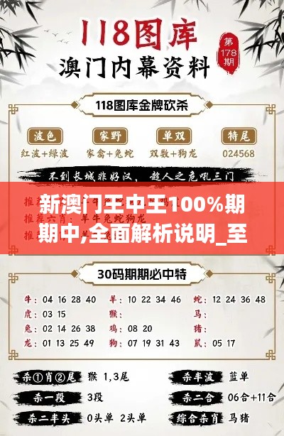 新澳門王中王100%期期中,全面解析說明_至尊版9.578