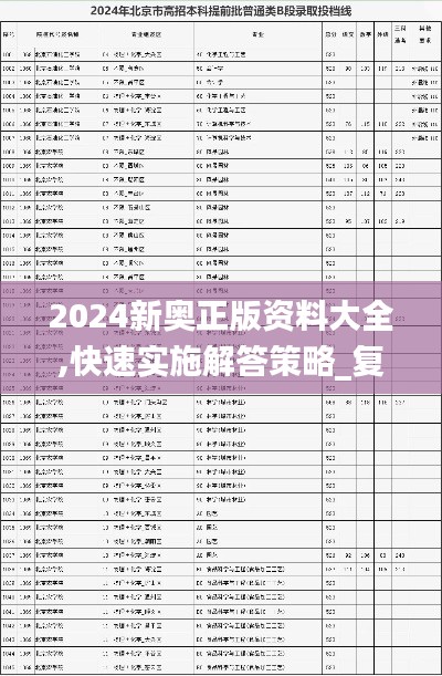 2024新奧正版資料大全,快速實(shí)施解答策略_復(fù)古款4.675