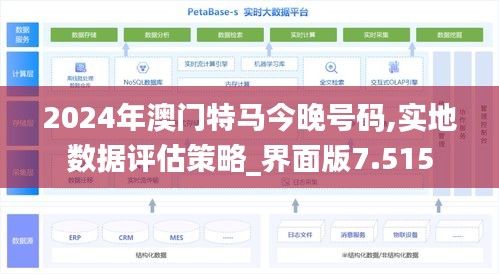 2024年澳門特馬今晚號碼,實地數(shù)據(jù)評估策略_界面版7.515