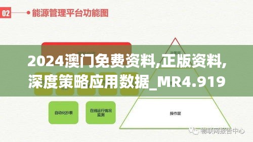 2024澳門免費資料,正版資料,深度策略應(yīng)用數(shù)據(jù)_MR4.919