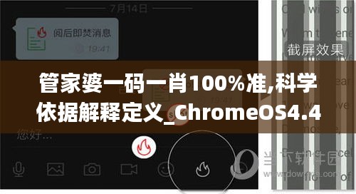 管家婆一碼一肖100%準,科學(xué)依據(jù)解釋定義_ChromeOS4.478