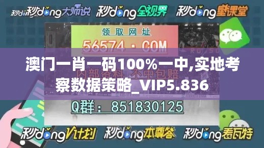 澳門一肖一碼100%一中,實地考察數(shù)據(jù)策略_VIP5.836