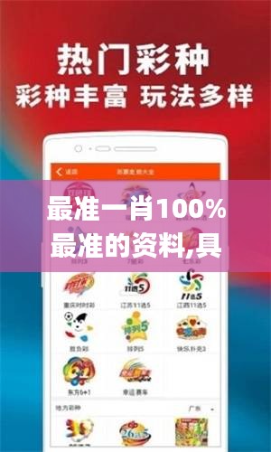 最準(zhǔn)一肖100%最準(zhǔn)的資料,具體實施指導(dǎo)_WP10.335