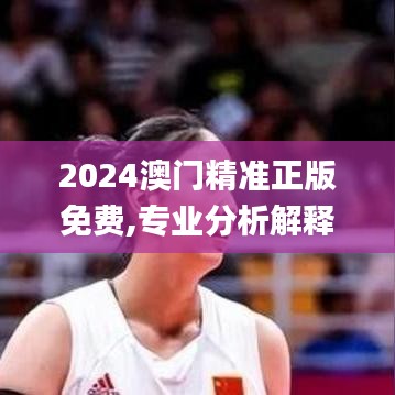 2024澳門精準(zhǔn)正版免費,專業(yè)分析解釋定義_PT1.253