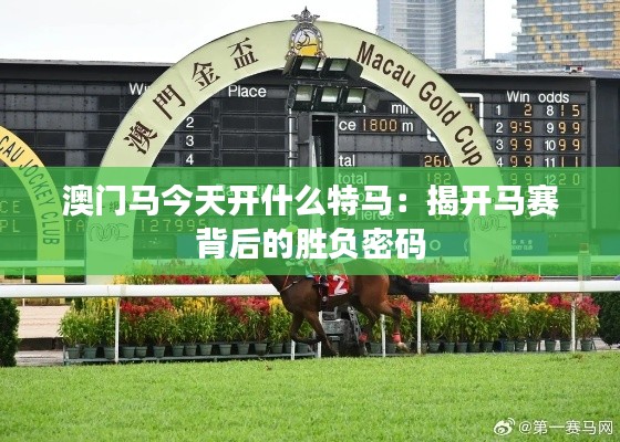澳門馬今天開什么特馬：揭開馬賽背后的勝負密碼