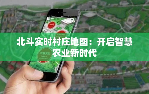 北斗實時村莊地圖：開啟智慧農(nóng)業(yè)新時代
