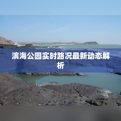 濱海公園實(shí)時(shí)路況最新動(dòng)態(tài)解析