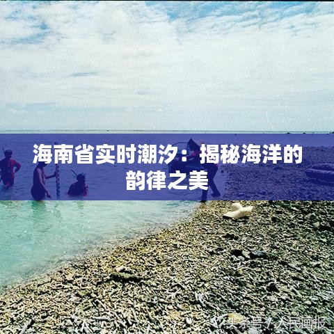 海南省實時潮汐：揭秘海洋的韻律之美