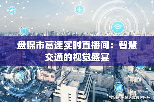 盤錦市高速實(shí)時(shí)直播間：智慧交通的視覺盛宴