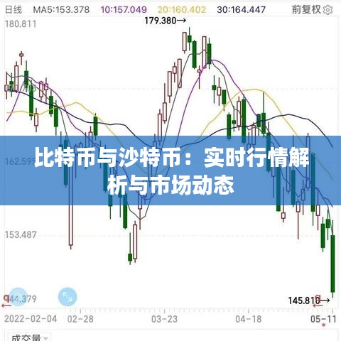 比特幣與沙特幣：實(shí)時(shí)行情解析與市場(chǎng)動(dòng)態(tài)