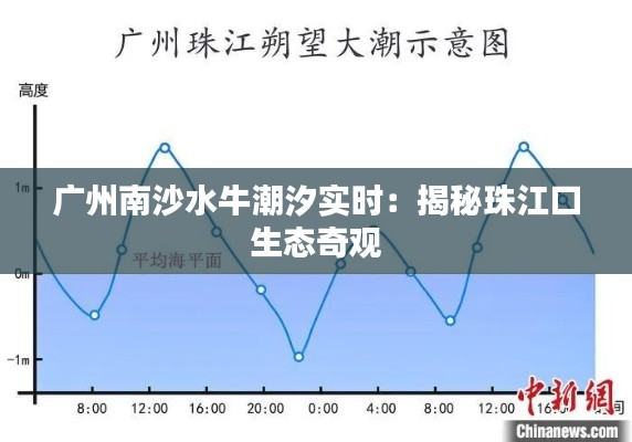 廣州南沙水牛潮汐實時：揭秘珠江口生態(tài)奇觀