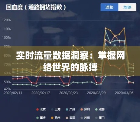 實(shí)時(shí)流量數(shù)據(jù)洞察：掌握網(wǎng)絡(luò)世界的脈搏