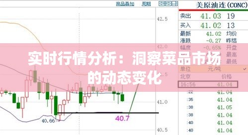 實(shí)時(shí)行情分析：洞察菜品市場(chǎng)的動(dòng)態(tài)變化