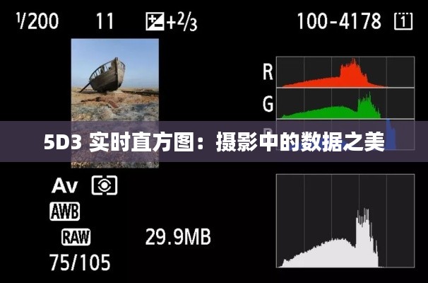 5D3 實時直方圖：攝影中的數據之美