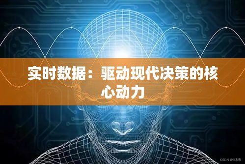 實時數據：驅動現(xiàn)代決策的核心動力