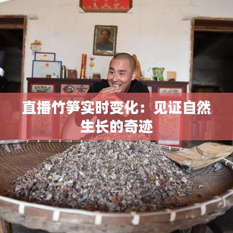 直播竹筍實(shí)時(shí)變化：見證自然生長(zhǎng)的奇跡