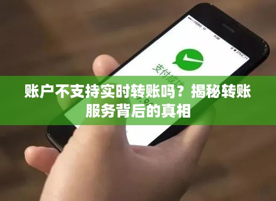 賬戶不支持實時轉(zhuǎn)賬嗎？揭秘轉(zhuǎn)賬服務(wù)背后的真相
