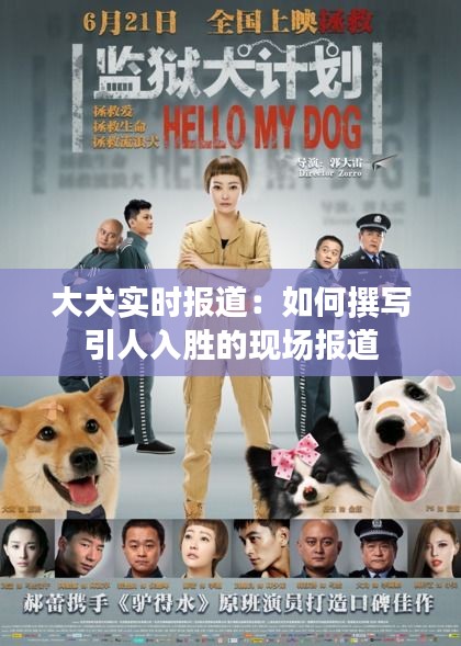 大犬實時報道：如何撰寫引人入勝的現(xiàn)場報道