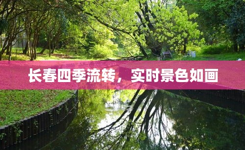長春四季流轉(zhuǎn)，實(shí)時(shí)景色如畫