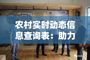 農(nóng)村實(shí)時(shí)動(dòng)態(tài)信息查詢表：助力鄉(xiāng)村振興的智慧紐帶