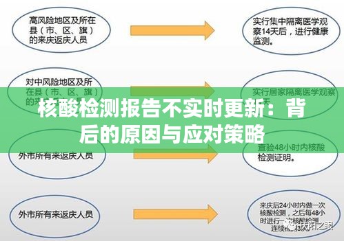 核酸檢測報(bào)告不實(shí)時更新：背后的原因與應(yīng)對策略
