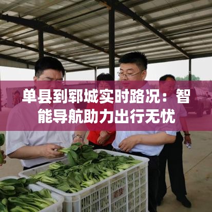 美輪美奐 第2頁(yè)