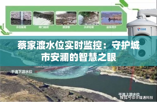 蔡家渡水位實(shí)時(shí)監(jiān)控：守護(hù)城市安瀾的智慧之眼