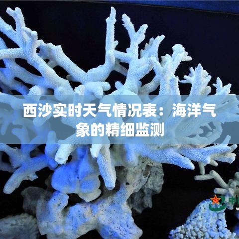 西沙實(shí)時(shí)天氣情況表：海洋氣象的精細(xì)監(jiān)測