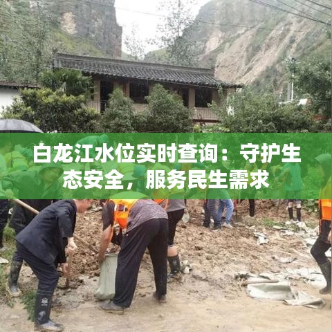 白龍江水位實(shí)時查詢：守護(hù)生態(tài)安全，服務(wù)民生需求