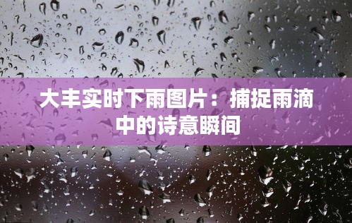 大豐實時下雨圖片：捕捉雨滴中的詩意瞬間