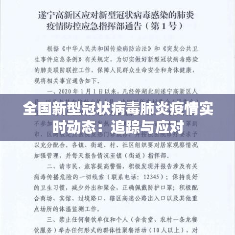 全國(guó)新型冠狀病毒肺炎疫情實(shí)時(shí)動(dòng)態(tài)：追蹤與應(yīng)對(duì)