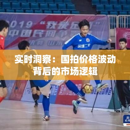 實(shí)時(shí)洞察：國(guó)拍價(jià)格波動(dòng)背后的市場(chǎng)邏輯