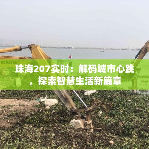 珠海207實(shí)時：解碼城市心跳，探索智慧生活新篇章