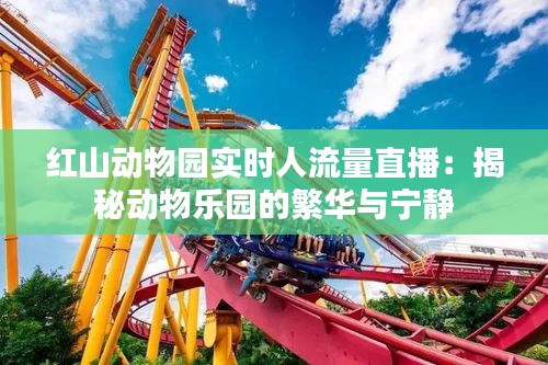 紅山動(dòng)物園實(shí)時(shí)人流量直播：揭秘動(dòng)物樂園的繁華與寧靜