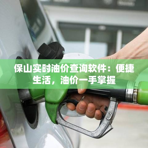保山實時油價查詢軟件：便捷生活，油價一手掌握