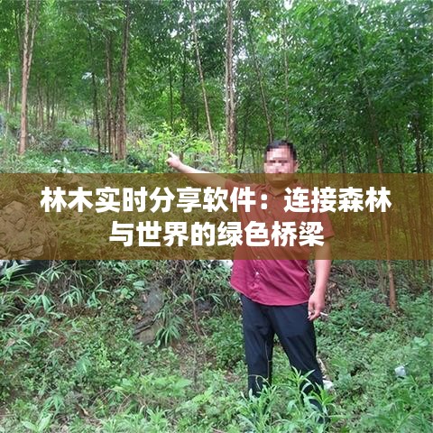 林木實(shí)時(shí)分享軟件：連接森林與世界的綠色橋梁